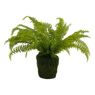 Fern Plant with Mossy Base 27"H For Sale