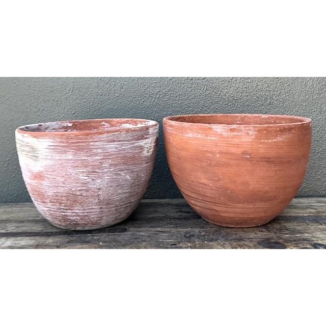 Vintage Washed Terracotta Planter Bowls - Set of 2 For Sale - Image 9 of 12
