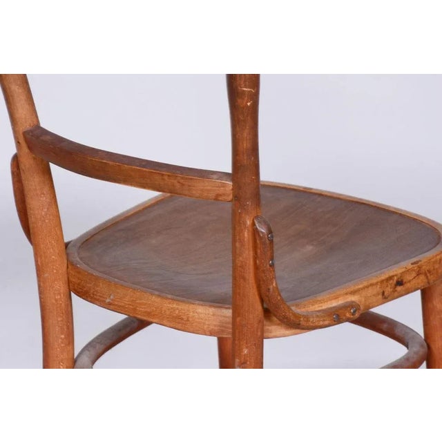 Brown Art Deco Beech Chair from Fischel, Czechia, 1920s For Sale - Image 8 of 10