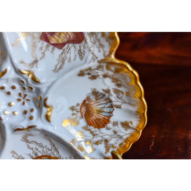 Shell Antique Limoges T v Oyster Plate, Jones McDuffee & Stratton, Hand-Painted Shells, C. 1892-1907 For Sale - Image 7 of 10