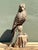 Taupe Vintage Hand Carved Eagle Statue For Sale - Image 8 of 12