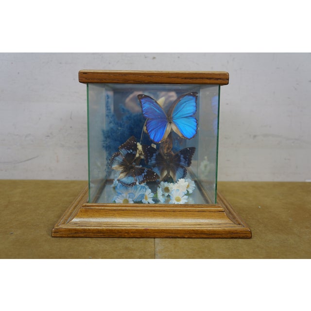 Late 20th Century Vintage Floral Butterfly Taxidermy Apothecary Shadow Box Display Case Specimen For Sale - Image 5 of 13
