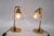 Art Deco Table Lamps with Glass Shades, Vienna, 1920s, Set of 2 For Sale - Image 11 of 14