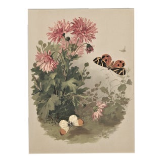 C1880 French Botanical Chromolithograph, Matted For Sale