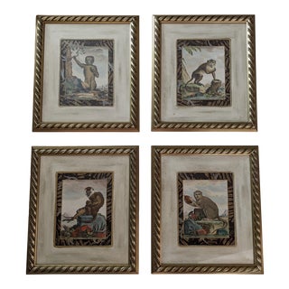 Late 20th Century Hand-Colored Engravings of Monkeys After G. Buffon, Framed - Set of 4 For Sale