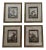 Late 20th Century Hand-Colored Engravings of Monkeys After G. Buffon, Framed - Set of 4 For Sale