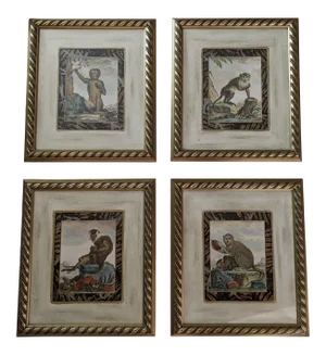 Late 20th Century Hand-Colored Engravings of Monkeys After G. Buffon, Framed - Set of 4