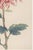 Not Yet Made - Made To Order Pink Mum, Vintage Japanese Botanical Art Print, 16" X 24" For Sale - Image 5 of 10