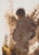 Salvador Dali, Abraham, Nude, Lithograph For Sale - Image 5 of 5