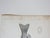 Mid 19th Century Mid 19th Century Us Pacifc Railroad Fish Lithograph Book Plates - Set of 3 For Sale - Image 5 of 9