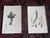 Realism Authentic Antique Early 19th Century Hand Colored Copperplate Botanical Engravings - Set of 9 For Sale - Image 3 of 8