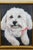 White Vintage Maltese White Dog Portrait Oil Painting on Canvas For Sale - Image 8 of 10