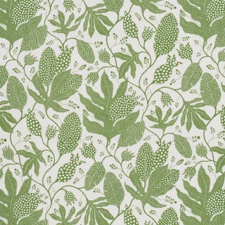 Schumacher x Marian Mcevoy Polka Dot Jungle Wallpaper In Green & Ivory For Sale