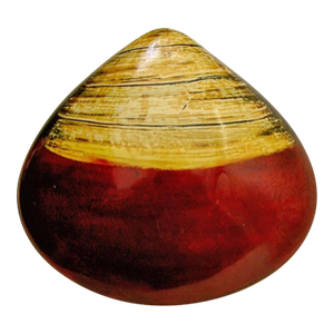 Antique Japanese Wakasa Lacquer Clam Shell