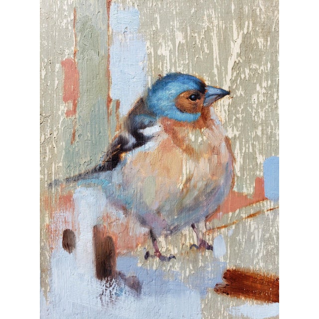 Bird 2 by Ryan Morse | Oil on antiqued panel Painting of a colorful bird on a textured background For Sale
