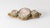 We are selling this Chinese export gilt silver filigree brooch pin. This pin has filigree body with gilt surface that...