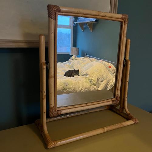Vintage Bamboo Framed Mirror on Stand from Angraves For Sale - Image 4 of 6