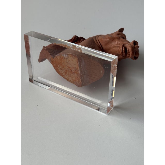 Sculpture of a Horse's Head in Resin and Acrylic after Miguel Senserrich, 1920s-1940s For Sale - Image 6 of 8