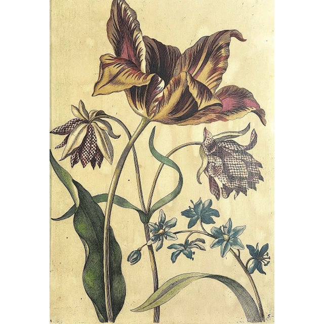 Shabby Chic Rustic French Country Botanical Flower Paintings, Pictures in Green & White Twig Frames , a Pair For Sale - Image 3 of 6