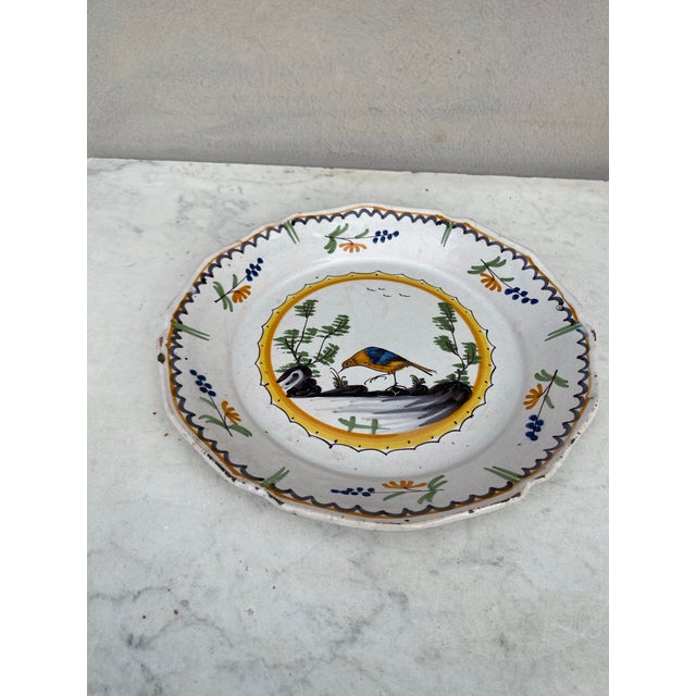 Early 19th Century French Faience Bird Plate Nevers. Bird and trees , floral border.