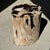Side Table in Petrified Wood with Black Spots, 1980s For Sale - Image 9 of 18