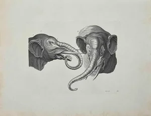 Thomas Holloway, Elephants, Etching, 1810