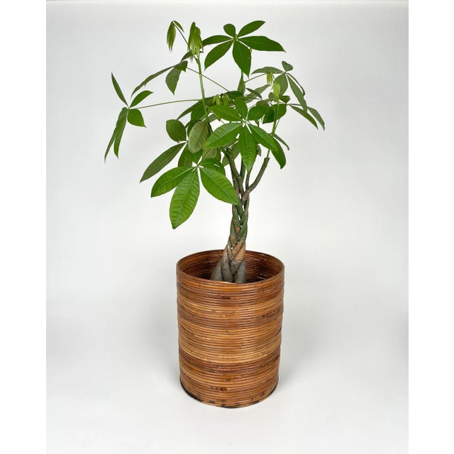 1960s Italian Rattan and Bamboo Round Basket Plant Holder Vase, 1960s For Sale - Image 5 of 14