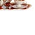 Porcelain Tête-À-Tête Royal Vienna, 19th Century, Set of 8 For Sale - Image 5 of 6