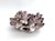 Late 20th Century Natural Barnacles Cluster For Sale - Image 5 of 7