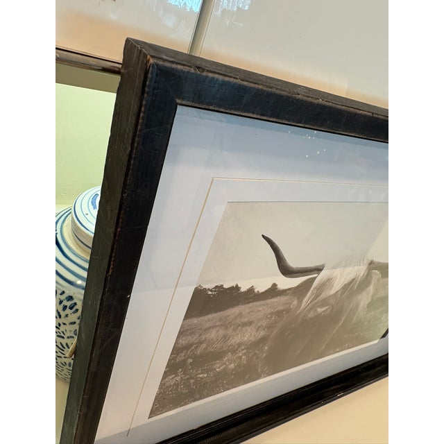 Vintage Black and White Highland Cow Cattle Photograph in Distressed Wood Frame For Sale In Miami - Image 6 of 9
