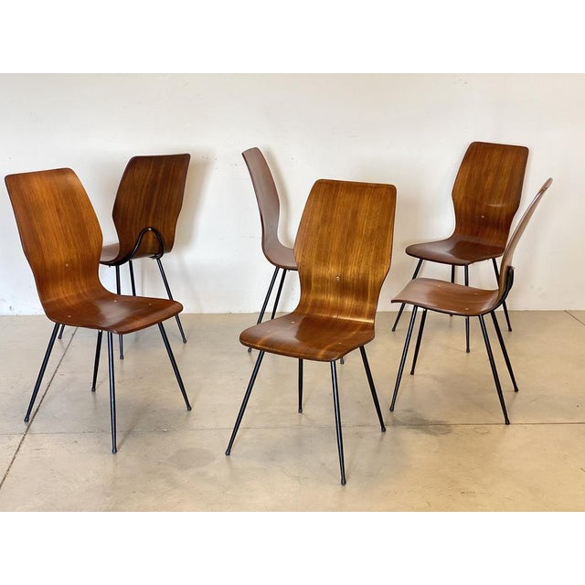 Set of 6 1960s chairs made of curved plywood, black lacquered iron structure, two sets available 6