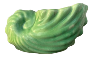 Ceramic Nautilus Shell Planter