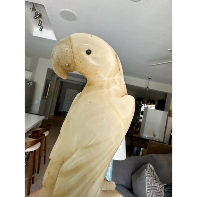 Pair Italian Alabaster Parrot Bird Sculptures - Mid Century For Sale - Image 12 of 18