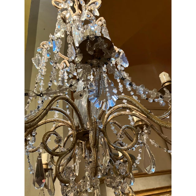 19th Century Italian Louis XV Style Murano Glass and Crystal 12-Light Cage Chandelier For Sale - Image 4 of 12