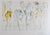 ARTIST: Salvador Dali TITLE: Hamadryades Mimetiques Arborescentes MEDIUM: Etching SIGNED: Hand Signed EDITION NUMBER: EA...