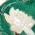 Joseph Holdcroft A Joesph Holdcroft Majolica Pond Lily Plate, Signed, English, Ca. 1875 For Sale - Image 4 of 9