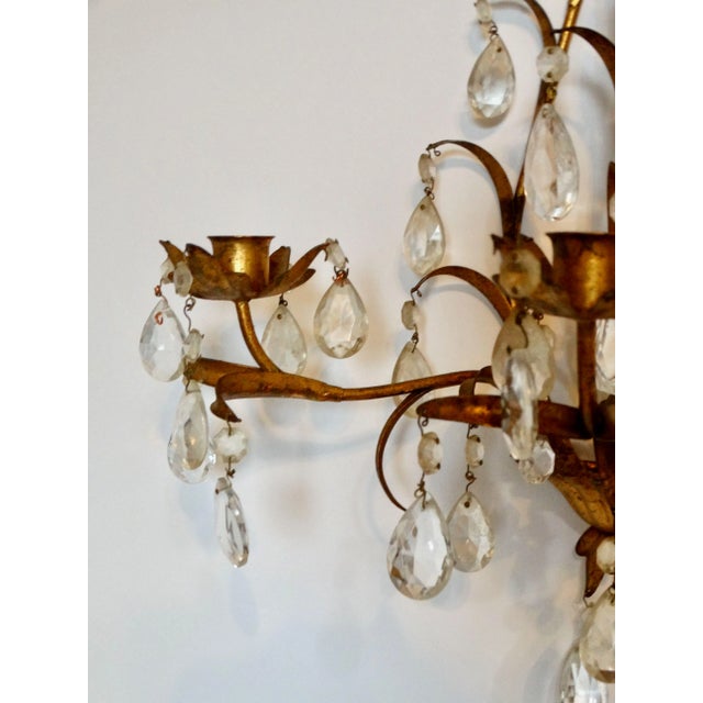 Italian Tole Gold Triple Arm Candle Wall Sconce With Crystals For Sale - Image 12 of 12