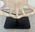 Stylish Wildwood Organic Modern Sulcata Turtle Sculpture, black iron head, showroom floor sample