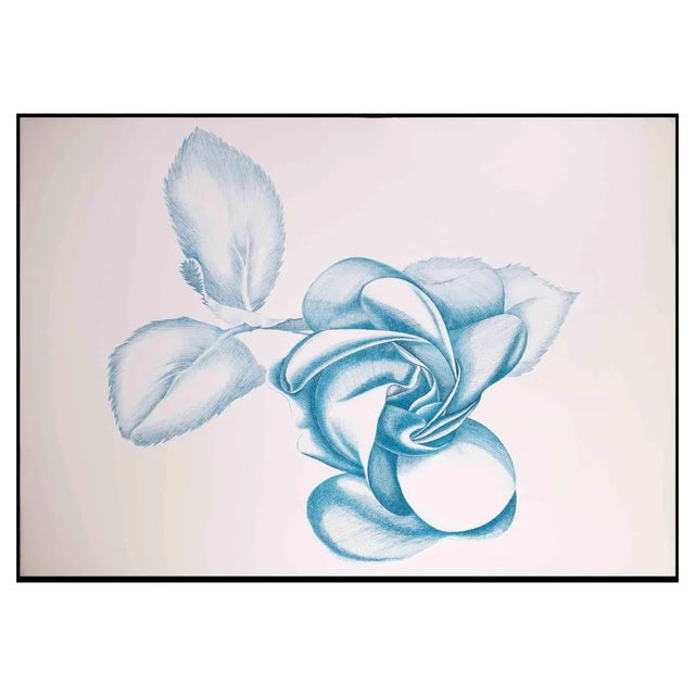 Giacomo Porzano, Blue Rose, Original Etching, 1970s For Sale