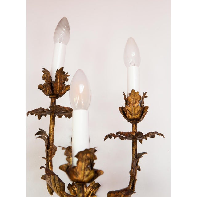 Large Italian Gilt Metal Sconce with 5 Arms, 1920s For Sale - Image 3 of 9