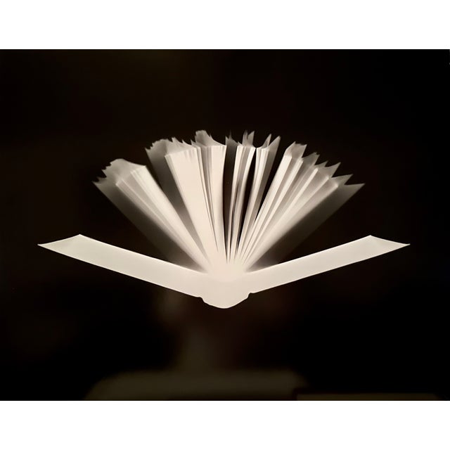 Alison Rossiter (b. 1953; Jackson, MS) creates camera-less photographs on expired, vintage photo paper that harness the...