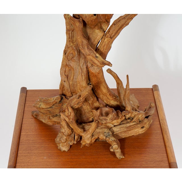 Wood Vintage Drift Wood Table Lamp For Sale - Image 7 of 10