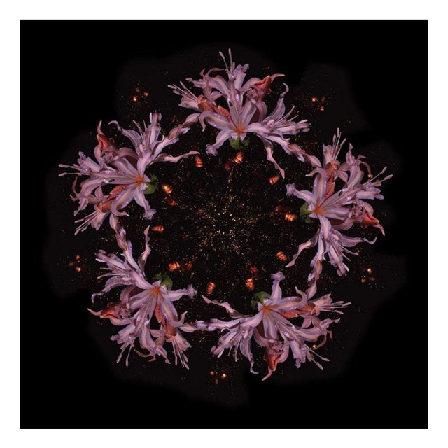 F24 is a stunning 24" x 24" lightjet print on metallic paper available in an edition of 15 in this size of 24" x 24". in...