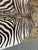 Early 21st Century 5ft 1in × 5ft 8in Zebra Printed Hair on Hide Area Rug For Sale - Image 5 of 12
