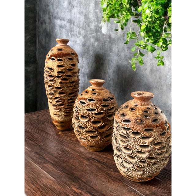 These unique vases are in excellent condition. They made from a Banksia seed pod. The Banksia tree originated in...