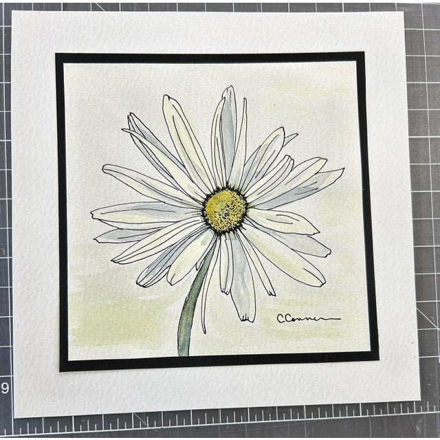 Paper 1990s Set of 4 Prints of Watercolor and Ink Drawings 4 White Daisies For Sale - Image 7 of 10