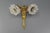 French Neoclassical Style Bronze and White Frosted Glass Two-Arm Sconce, 1890s For Sale - Image 13 of 18