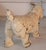 Folk Art Early 20th Century Iron Original Painted Scottie Dog Door Stop For Sale - Image 3 of 5