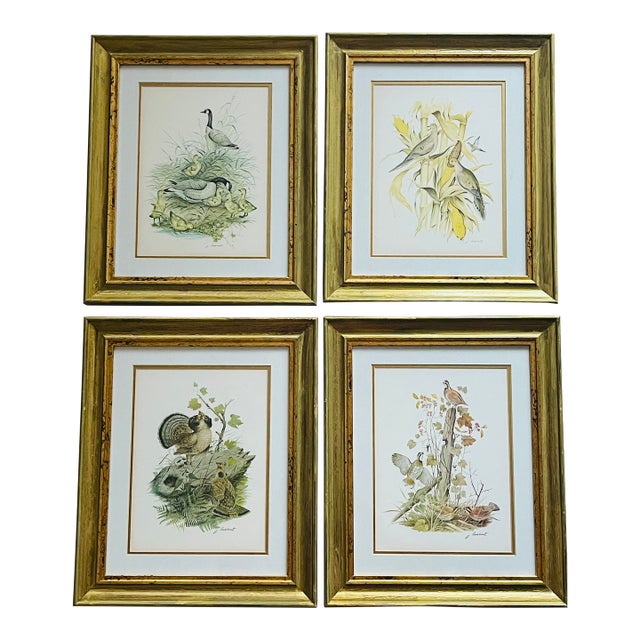 1950s Vintage J Lockhart Bird Prints in Golden Framed- Set of 4 For Sale