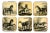 Lacquered Wood Horse Coasters, Italy, 1950s, Set of 6 For Sale